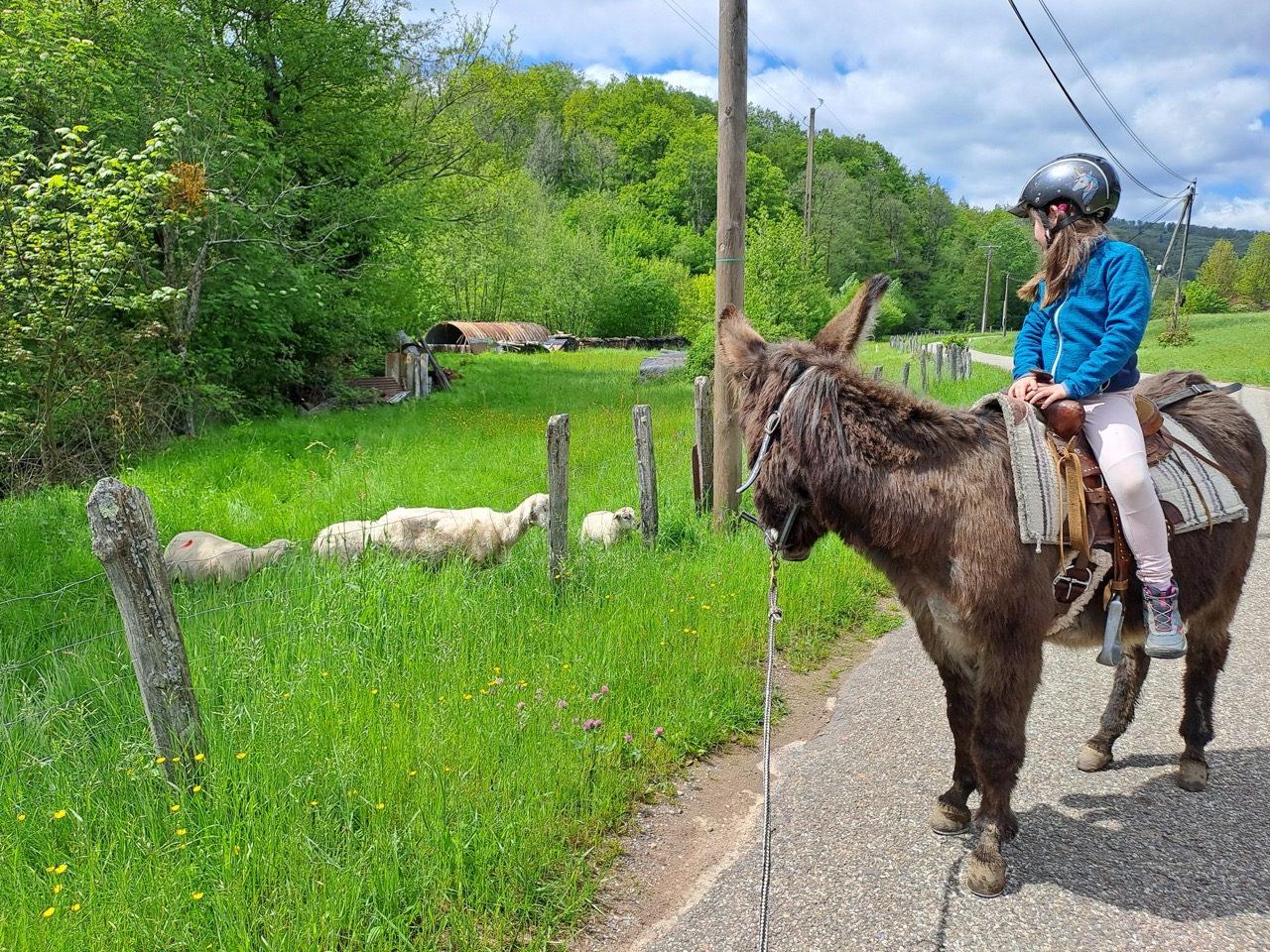 Enfant accompagnant un âne sur le sentier